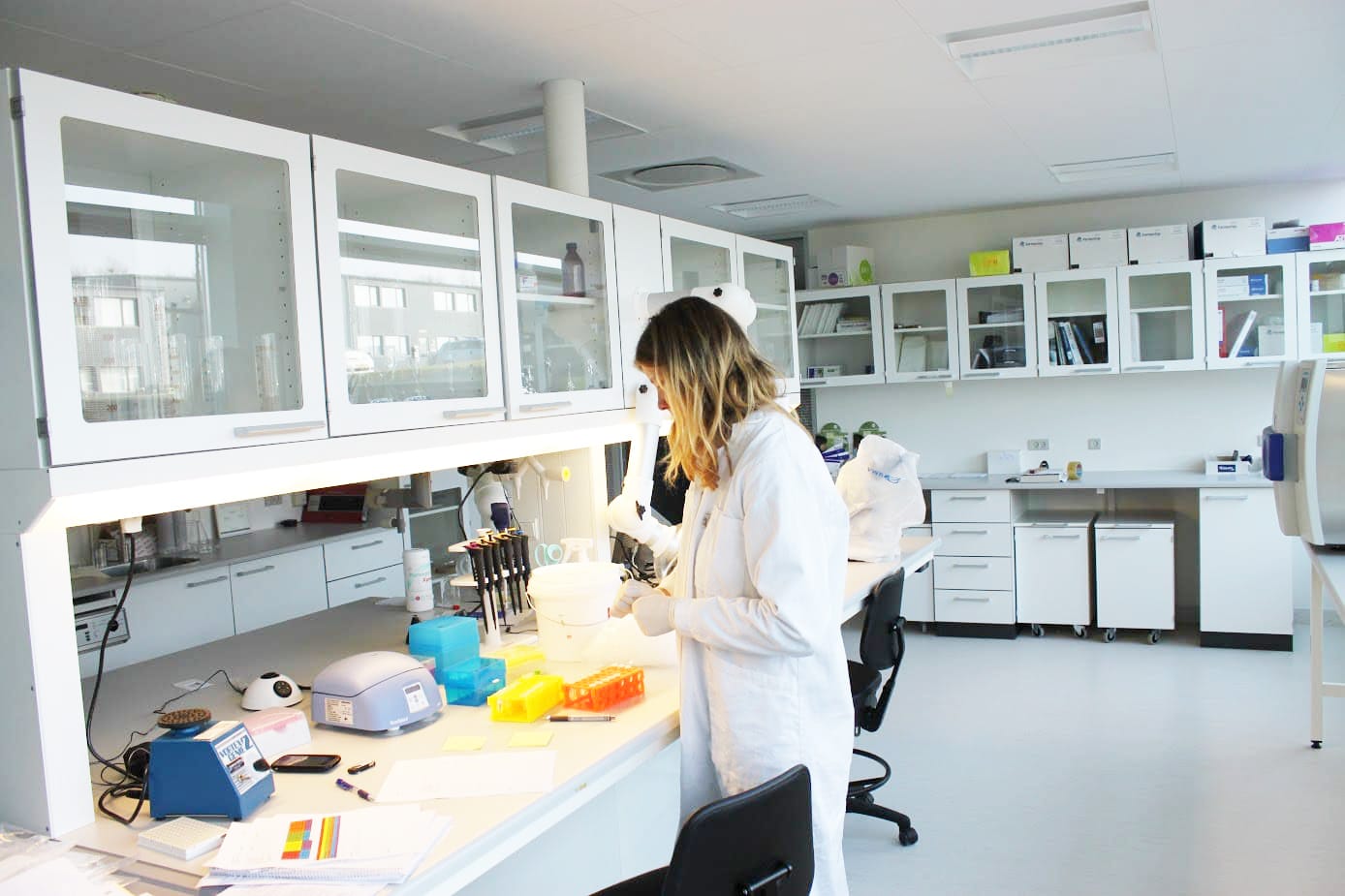 A scientist testing mould