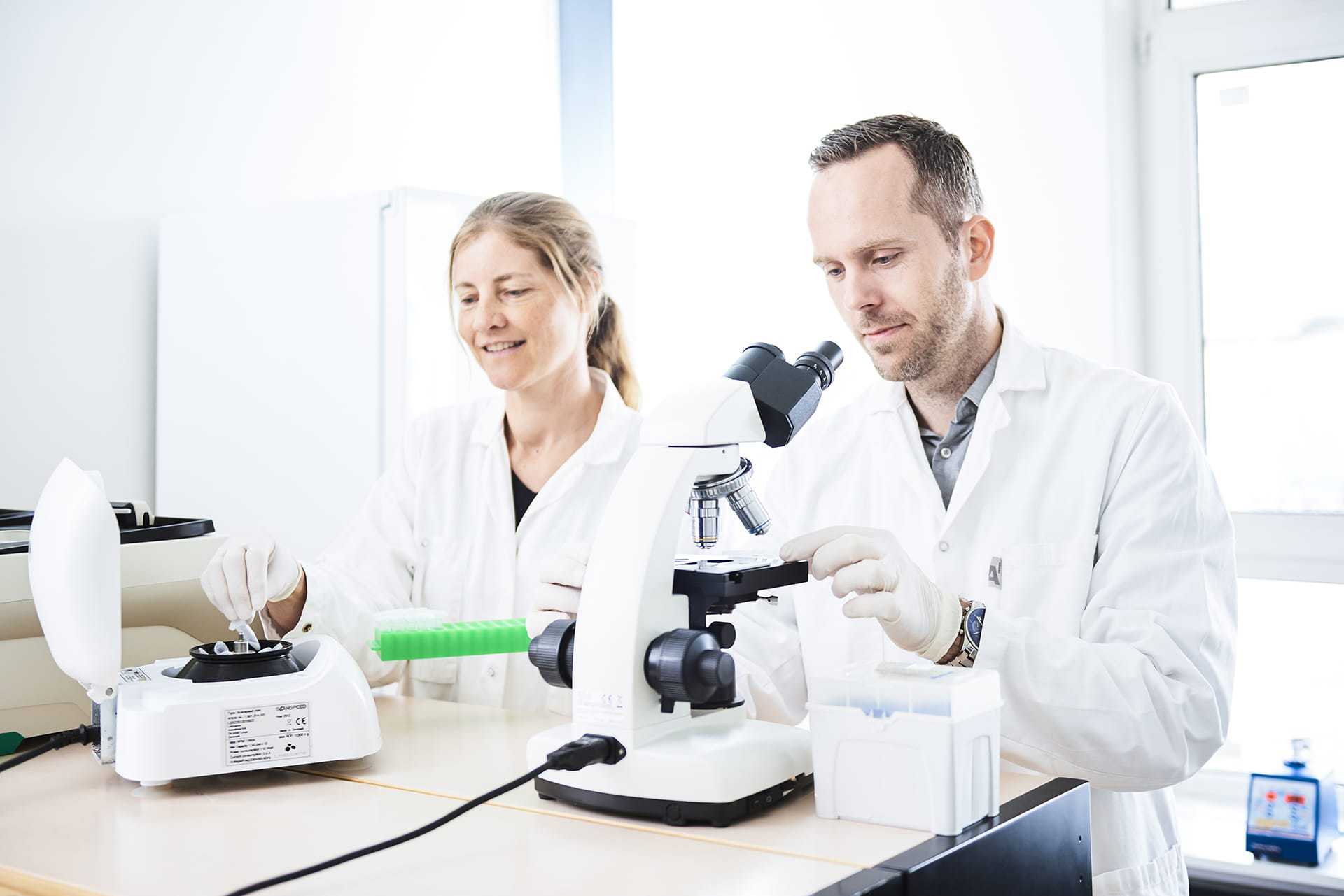Scientists carrying out a mould test