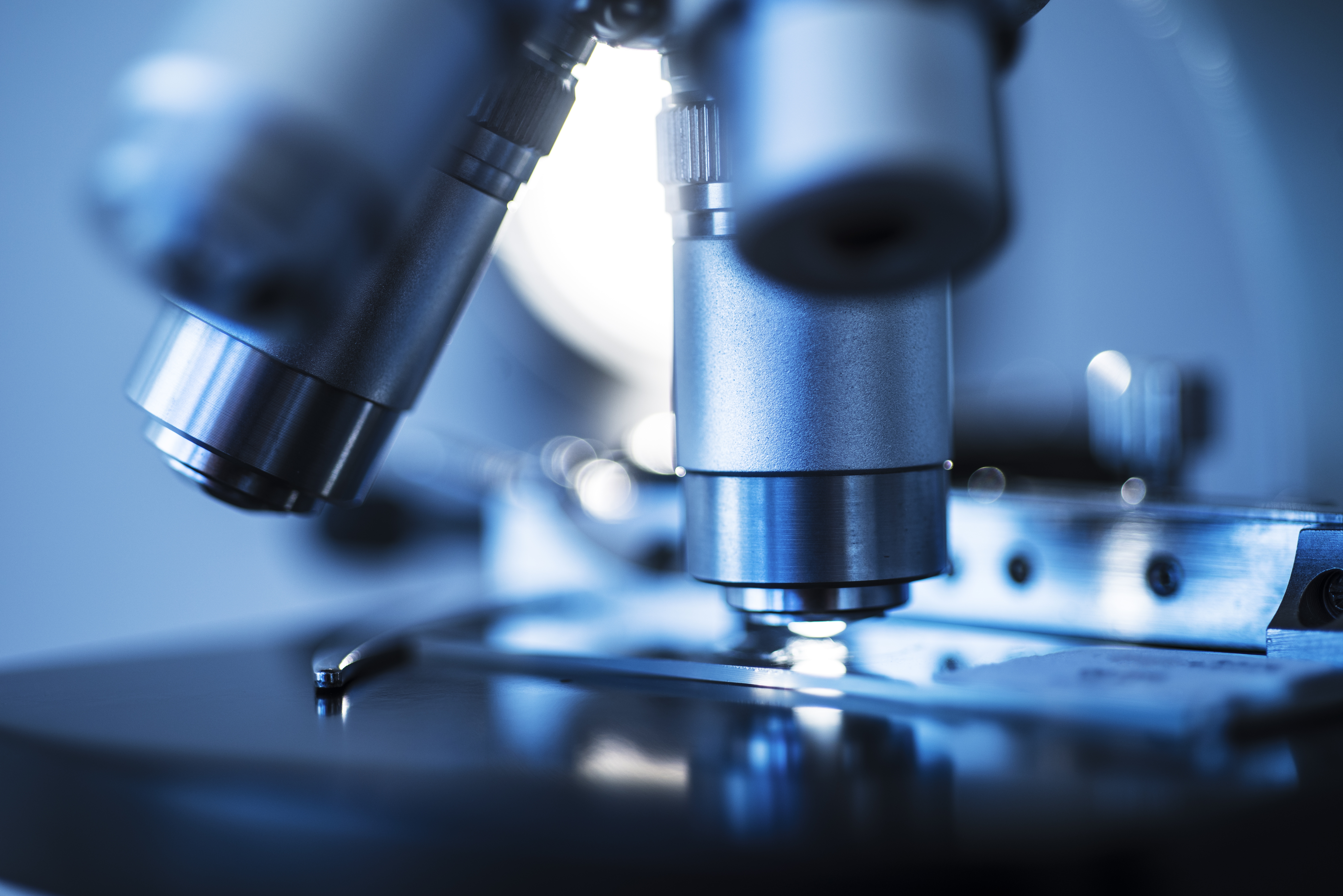Microscope analysing a mould sample